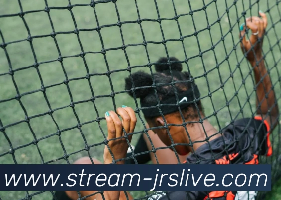 多媒体互动体验